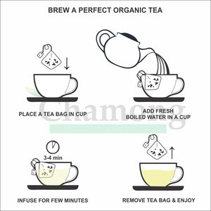 Organic Peppermint Tea - 20 Pyramid Tea Bags