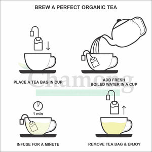 Organic Green Tea - 100 Envelope Tea Bags